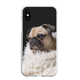Чехол для iPhone XS Max матовый с принтом Мопс в Курске, Силикон | Область печати: задняя сторона чехла, без боковых панелей | бульдог | мопс | мопсик | мопсы | пес | песик | песики | собака | собаки | собачка