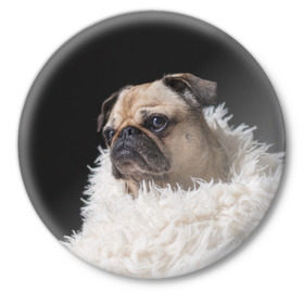 Значок с принтом Мопс в Курске,  металл | круглая форма, металлическая застежка в виде булавки | Тематика изображения на принте: бульдог | мопс | мопсик | мопсы | пес | песик | песики | собака | собаки | собачка
