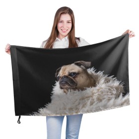 Флаг 3D с принтом Мопс в Курске, 100% полиэстер | плотность ткани — 95 г/м2, размер — 67 х 109 см. Принт наносится с одной стороны | бульдог | мопс | мопсик | мопсы | пес | песик | песики | собака | собаки | собачка