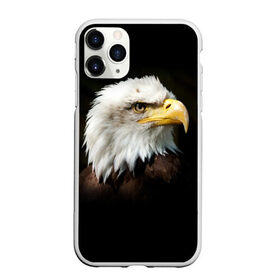 Чехол для iPhone 11 Pro Max матовый с принтом Орёл в Курске, Силикон |  | клюв | орёл | пернатые | перья | птица | хищник