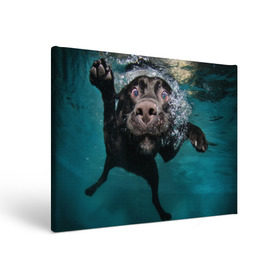 Холст прямоугольный с принтом Пес дайвер в Курске, 100% ПВХ |  | Тематика изображения на принте: вода | гребет | дайвер | животное | купается | лапы | нос | пес | плавец | плывет | под водой | прикольный | пузыри | смешной | собака | щенок