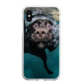 Чехол для iPhone XS Max матовый с принтом Пес дайвер в Курске, Силикон | Область печати: задняя сторона чехла, без боковых панелей | вода | гребет | дайвер | животное | купается | лапы | нос | пес | плавец | плывет | под водой | прикольный | пузыри | смешной | собака | щенок