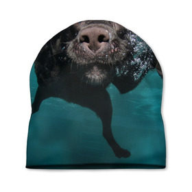 Шапка 3D с принтом Пес дайвер в Курске, 100% полиэстер | универсальный размер, печать по всей поверхности изделия | вода | гребет | дайвер | животное | купается | лапы | нос | пес | плавец | плывет | под водой | прикольный | пузыри | смешной | собака | щенок