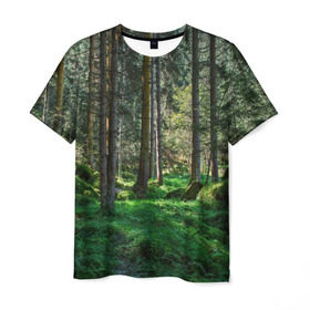 Мужская футболка 3D с принтом Темный лес в Курске, 100% полиэфир | прямой крой, круглый вырез горловины, длина до линии бедер | бор | деревья | ель | ельник | заповедник | камни | красивый | лес | лето | мох | мрачный | прекрасный | природа | флора | чудесный