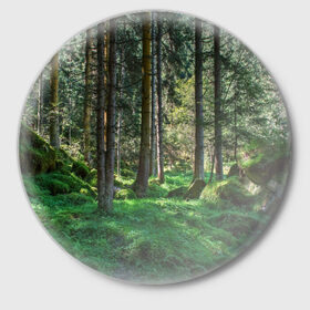 Значок с принтом Темный лес в Курске,  металл | круглая форма, металлическая застежка в виде булавки | бор | деревья | ель | ельник | заповедник | камни | красивый | лес | лето | мох | мрачный | прекрасный | природа | флора | чудесный