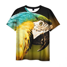 Мужская футболка 3D с принтом Попугай в Курске, 100% полиэфир | прямой крой, круглый вырез горловины, длина до линии бедер | двое | классный | клюв | красивый | крылья | попугай | попугайчик | птица | птичка | радужный