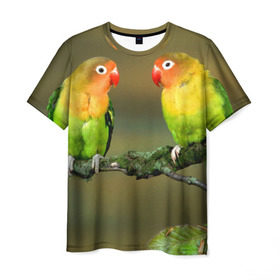 Мужская футболка 3D с принтом Попугаи в Курске, 100% полиэфир | прямой крой, круглый вырез горловины, длина до линии бедер | двое | классный | клюв | красивый | крылья | попугай | попугайчик | птица | птичка | радужный