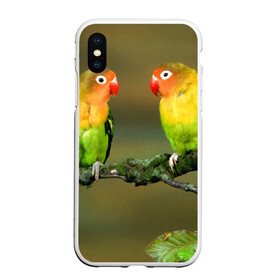 Чехол для iPhone XS Max матовый с принтом Попугаи в Курске, Силикон | Область печати: задняя сторона чехла, без боковых панелей | двое | классный | клюв | красивый | крылья | попугай | попугайчик | птица | птичка | радужный