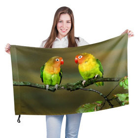 Флаг 3D с принтом Попугаи в Курске, 100% полиэстер | плотность ткани — 95 г/м2, размер — 67 х 109 см. Принт наносится с одной стороны | двое | классный | клюв | красивый | крылья | попугай | попугайчик | птица | птичка | радужный