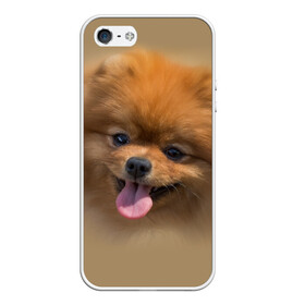 Чехол для iPhone 5/5S матовый с принтом Шпиц в Курске, Силикон | Область печати: задняя сторона чехла, без боковых панелей | shpic | животные | мордочка | пёс | рыжий | собака | собачка | язык