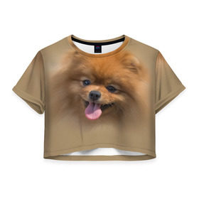 Женская футболка 3D укороченная с принтом Шпиц в Курске, 100% полиэстер | круглая горловина, длина футболки до линии талии, рукава с отворотами | shpic | животные | мордочка | пёс | рыжий | собака | собачка | язык