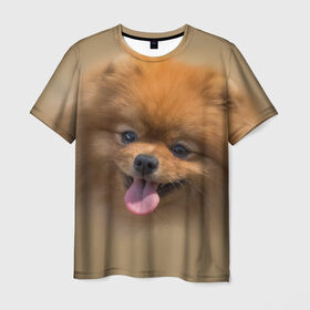 Мужская футболка 3D с принтом Шпиц в Курске, 100% полиэфир | прямой крой, круглый вырез горловины, длина до линии бедер | shpic | животные | мордочка | пёс | рыжий | собака | собачка | язык