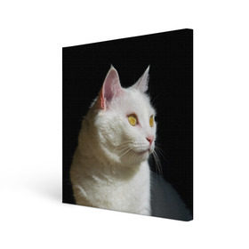 Холст квадратный с принтом Белая и пушистая в Курске, 100% ПВХ |  | белый | взгляд | глаза | киска | кот | котёнок | кошка | пушистый