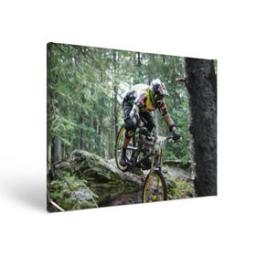 Холст прямоугольный с принтом Велоспорт гонка в Курске, 100% ПВХ |  | велик | велосипед | гонка | горы | деревья | железный конь | колесо | лес | лисапед | природа | ровер | спорт | спортсмен | стальной конь | тандем | трицикл | шлем