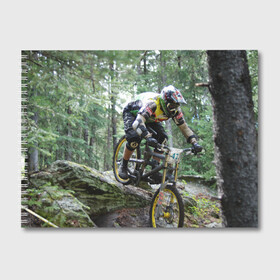 Альбом для рисования с принтом Велоспорт гонка в Курске, 100% бумага
 | матовая бумага, плотность 200 мг. | велик | велосипед | гонка | горы | деревья | железный конь | колесо | лес | лисапед | природа | ровер | спорт | спортсмен | стальной конь | тандем | трицикл | шлем