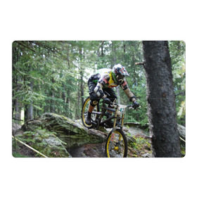 Магнитный плакат 3Х2 с принтом Велоспорт гонка в Курске, Полимерный материал с магнитным слоем | 6 деталей размером 9*9 см | велик | велосипед | гонка | горы | деревья | железный конь | колесо | лес | лисапед | природа | ровер | спорт | спортсмен | стальной конь | тандем | трицикл | шлем