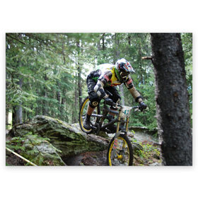 Поздравительная открытка с принтом Велоспорт гонка в Курске, 100% бумага | плотность бумаги 280 г/м2, матовая, на обратной стороне линовка и место для марки
 | Тематика изображения на принте: велик | велосипед | гонка | горы | деревья | железный конь | колесо | лес | лисапед | природа | ровер | спорт | спортсмен | стальной конь | тандем | трицикл | шлем