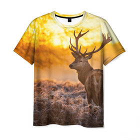 Мужская футболка 3D с принтом Олень в Курске, 100% полиэфир | прямой крой, круглый вырез горловины, длина до линии бедер | бор | дубрава | ельник | животное | закат | косуля | лес | лось | млекопитающее | олень | природа | расвет | рогач | рока | тайга | чащоба