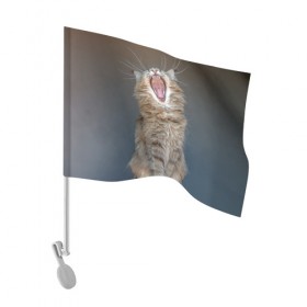 Флаг для автомобиля с принтом Мартовский кот в Курске, 100% полиэстер | Размер: 30*21 см | Тематика изображения на принте: кот | кошка | март | пасть | усы