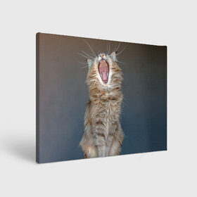 Холст прямоугольный с принтом Мартовский кот в Курске, 100% ПВХ |  | Тематика изображения на принте: кот | кошка | март | пасть | усы