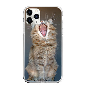 Чехол для iPhone 11 Pro матовый с принтом Мартовский кот в Курске, Силикон |  | Тематика изображения на принте: кот | кошка | март | пасть | усы