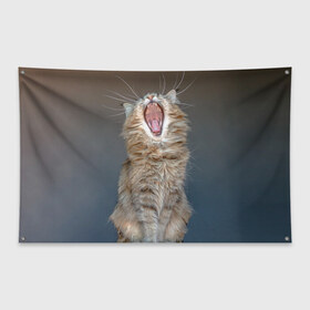 Флаг-баннер с принтом Мартовский кот в Курске, 100% полиэстер | размер 67 х 109 см, плотность ткани — 95 г/м2; по краям флага есть четыре люверса для крепления | кот | кошка | март | пасть | усы