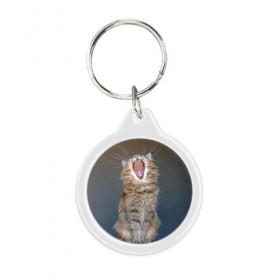 Брелок круглый с принтом Мартовский кот в Курске, пластик и полированная сталь | круглая форма, металлическое крепление в виде кольца | кот | кошка | март | пасть | усы