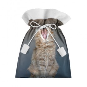 Подарочный 3D мешок с принтом Мартовский кот в Курске, 100% полиэстер | Размер: 29*39 см | Тематика изображения на принте: кот | кошка | март | пасть | усы