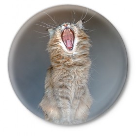 Значок с принтом Мартовский кот в Курске,  металл | круглая форма, металлическая застежка в виде булавки | кот | кошка | март | пасть | усы