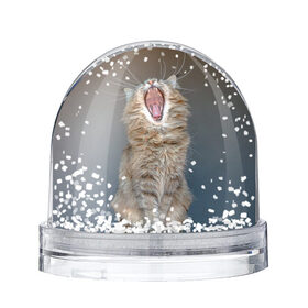 Снежный шар с принтом Мартовский кот в Курске, Пластик | Изображение внутри шара печатается на глянцевой фотобумаге с двух сторон | Тематика изображения на принте: кот | кошка | март | пасть | усы