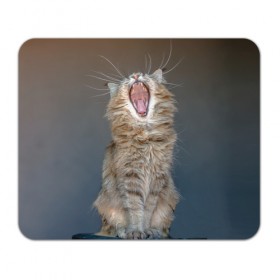 Коврик прямоугольный с принтом Мартовский кот в Курске, натуральный каучук | размер 230 х 185 мм; запечатка лицевой стороны | Тематика изображения на принте: кот | кошка | март | пасть | усы