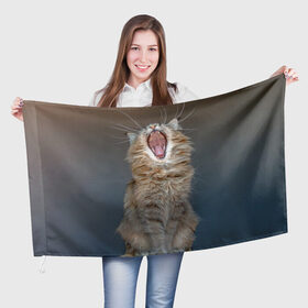 Флаг 3D с принтом Мартовский кот в Курске, 100% полиэстер | плотность ткани — 95 г/м2, размер — 67 х 109 см. Принт наносится с одной стороны | кот | кошка | март | пасть | усы
