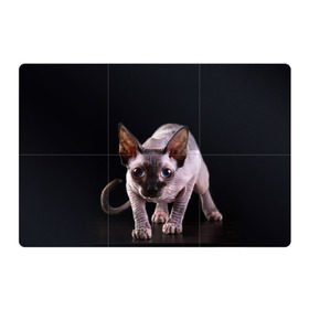 Магнитный плакат 3Х2 с принтом сфинкс в Курске, Полимерный материал с магнитным слоем | 6 деталей размером 9*9 см | Тематика изображения на принте: cat | голубые глаза | кот | котик | котэ | кошка | сфинкс | черный