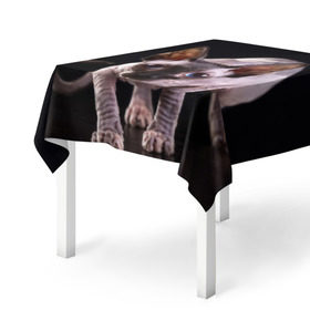 Скатерть 3D с принтом сфинкс в Курске, 100% полиэстер (ткань не мнется и не растягивается) | Размер: 150*150 см | cat | голубые глаза | кот | котик | котэ | кошка | сфинкс | черный