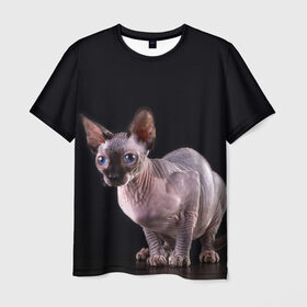 Мужская футболка 3D с принтом сфинкс в Курске, 100% полиэфир | прямой крой, круглый вырез горловины, длина до линии бедер | взгляд | голубые глаза | киска | кот | котенок | котик | котэ | серый | сфинкс | черный