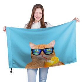 Флаг 3D с принтом котэ на отдыхе в Курске, 100% полиэстер | плотность ткани — 95 г/м2, размер — 67 х 109 см. Принт наносится с одной стороны | кот | котик | лето | море | отдых | очки | пальмы | пляж | рыжий кот | солнце