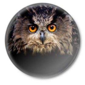 Значок с принтом Хищный взор в Курске,  металл | круглая форма, металлическая застежка в виде булавки | Тематика изображения на принте: взгляд | глаза | клюв | пернатые | перья | птица | сова | филин | хищник