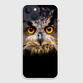 Чехол для iPhone 13 с принтом Хищный взор в Курске,  |  | Тематика изображения на принте: взгляд | глаза | клюв | пернатые | перья | птица | сова | филин | хищник
