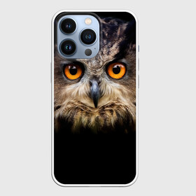 Чехол для iPhone 13 Pro с принтом Хищный взор в Курске,  |  | взгляд | глаза | клюв | пернатые | перья | птица | сова | филин | хищник