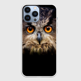 Чехол для iPhone 13 Pro Max с принтом Хищный взор в Курске,  |  | Тематика изображения на принте: взгляд | глаза | клюв | пернатые | перья | птица | сова | филин | хищник