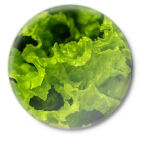 Значок с принтом Зелень в Курске,  металл | круглая форма, металлическая застежка в виде булавки | веган | зеленый | зелень | лето | овощи | салат | солнце | фрукты