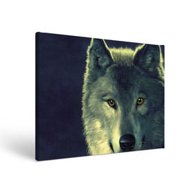 Холст прямоугольный с принтом Серый волк в Курске, 100% ПВХ |  | аука | бирюк | волк | волчара | волчица | волчок | глаза | животное | животные | зверь | зеленые | койот | млекопитающее | нос | санитар леса | серый | уши | фауна | фон | хищник | черный | шакал | шерсть
