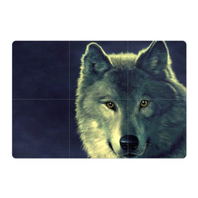 Магнитный плакат 3Х2 с принтом Серый волк в Курске, Полимерный материал с магнитным слоем | 6 деталей размером 9*9 см | аука | бирюк | волк | волчара | волчица | волчок | глаза | животное | животные | зверь | зеленые | койот | млекопитающее | нос | санитар леса | серый | уши | фауна | фон | хищник | черный | шакал | шерсть