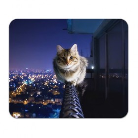 Коврик прямоугольный с принтом Киса на балконе в Курске, натуральный каучук | размер 230 х 185 мм; запечатка лицевой стороны | Тематика изображения на принте: cat | kitty | животные | киса | кот | котенок | котэ | кошка