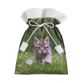 Подарочный 3D мешок с принтом Котенок на траве в Курске, 100% полиэстер | Размер: 29*39 см | Тематика изображения на принте: 