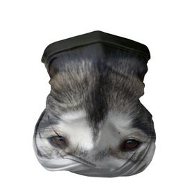 Бандана-труба 3D с принтом Хаски в Курске, 100% полиэстер, ткань с особыми свойствами — Activecool | плотность 150‒180 г/м2; хорошо тянется, но сохраняет форму | волк | маламут | собака | хаски | щенок