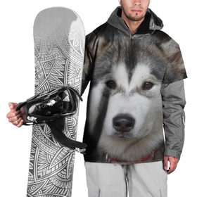 Накидка на куртку 3D с принтом Хаски в Курске, 100% полиэстер |  | волк | маламут | собака | хаски | щенок