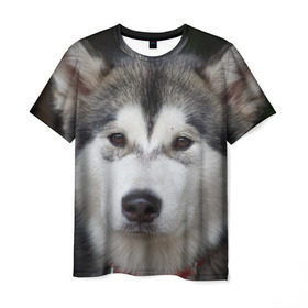 Мужская футболка 3D с принтом Хаски в Курске, 100% полиэфир | прямой крой, круглый вырез горловины, длина до линии бедер | Тематика изображения на принте: волк | маламут | собака | хаски | щенок