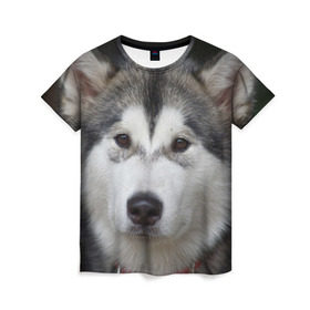 Женская футболка 3D с принтом Хаски в Курске, 100% полиэфир ( синтетическое хлопкоподобное полотно) | прямой крой, круглый вырез горловины, длина до линии бедер | волк | маламут | собака | хаски | щенок