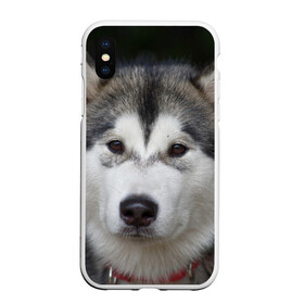 Чехол для iPhone XS Max матовый с принтом Хаски в Курске, Силикон | Область печати: задняя сторона чехла, без боковых панелей | волк | маламут | собака | хаски | щенок